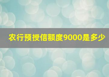 农行预授信额度9000是多少