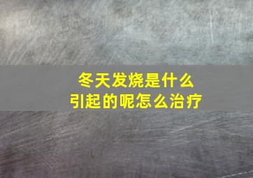 冬天发烧是什么引起的呢怎么治疗