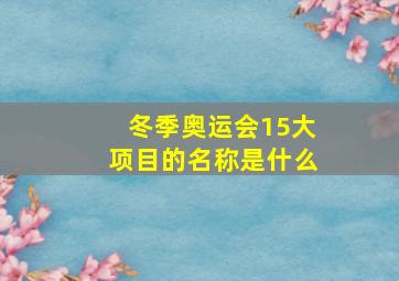 冬季奥运会15大项目的名称是什么