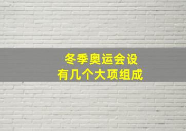 冬季奥运会设有几个大项组成