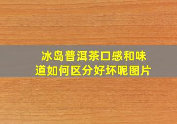 冰岛普洱茶口感和味道如何区分好坏呢图片