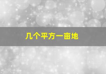 几个平方一亩地