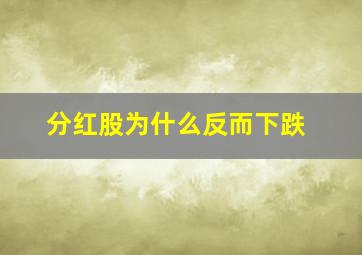 分红股为什么反而下跌