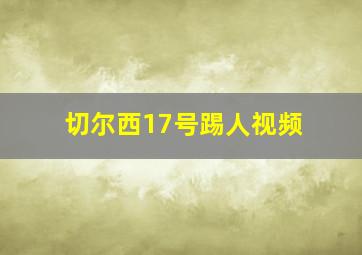 切尔西17号踢人视频