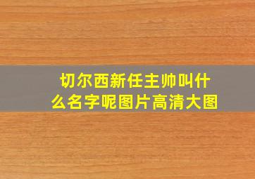 切尔西新任主帅叫什么名字呢图片高清大图