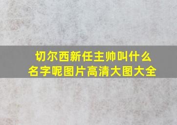 切尔西新任主帅叫什么名字呢图片高清大图大全