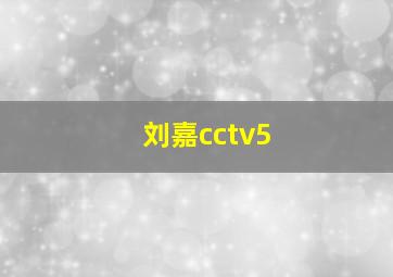 刘嘉cctv5