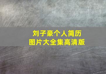 刘子豪个人简历图片大全集高清版