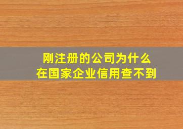 刚注册的公司为什么在国家企业信用查不到