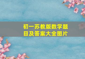 初一苏教版数学题目及答案大全图片