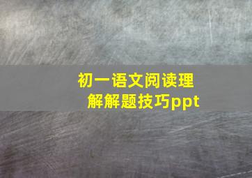 初一语文阅读理解解题技巧ppt