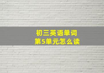 初三英语单词第5单元怎么读