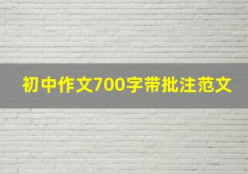 初中作文700字带批注范文