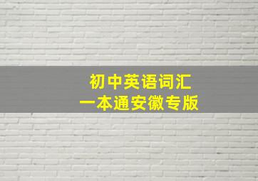 初中英语词汇一本通安徽专版