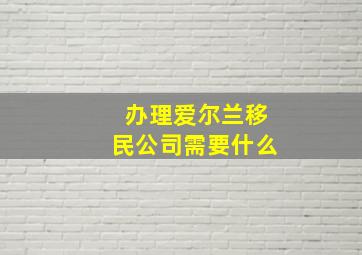 办理爱尔兰移民公司需要什么