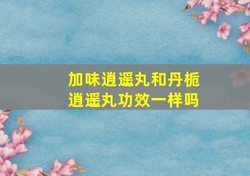 加味逍遥丸和丹栀逍遥丸功效一样吗