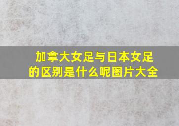 加拿大女足与日本女足的区别是什么呢图片大全