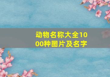 动物名称大全1000种图片及名字