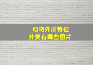 动物外形特征分类有哪些图片