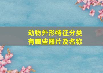 动物外形特征分类有哪些图片及名称