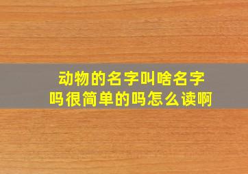 动物的名字叫啥名字吗很简单的吗怎么读啊