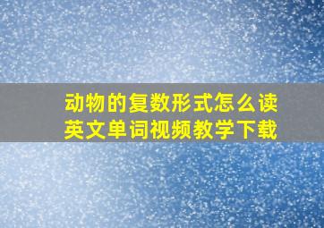 动物的复数形式怎么读英文单词视频教学下载