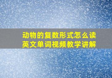 动物的复数形式怎么读英文单词视频教学讲解