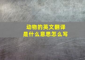 动物的英文翻译是什么意思怎么写