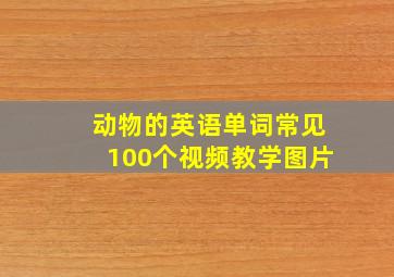 动物的英语单词常见100个视频教学图片