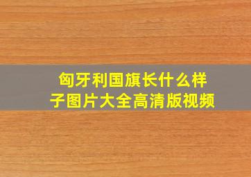 匈牙利国旗长什么样子图片大全高清版视频