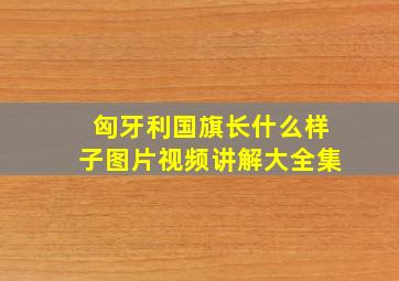 匈牙利国旗长什么样子图片视频讲解大全集