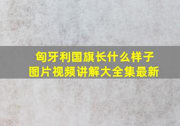 匈牙利国旗长什么样子图片视频讲解大全集最新