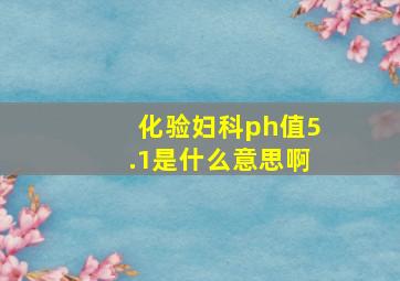 化验妇科ph值5.1是什么意思啊