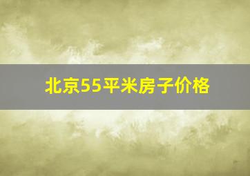 北京55平米房子价格