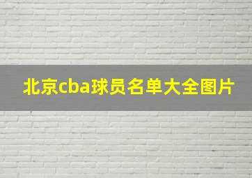 北京cba球员名单大全图片