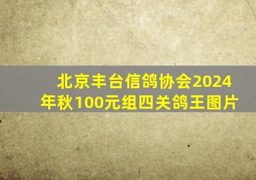 北京丰台信鸽协会2024年秋100元组四关鸽王图片