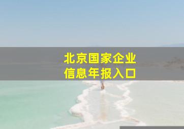 北京国家企业信息年报入口