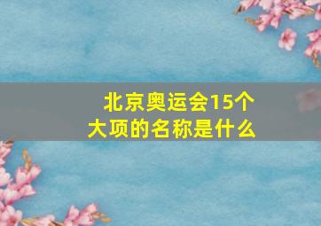 北京奥运会15个大项的名称是什么