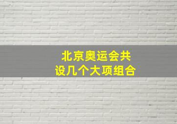 北京奥运会共设几个大项组合