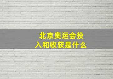 北京奥运会投入和收获是什么