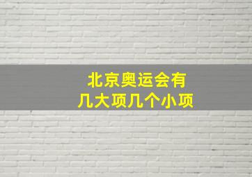 北京奥运会有几大项几个小项