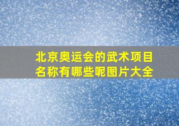 北京奥运会的武术项目名称有哪些呢图片大全