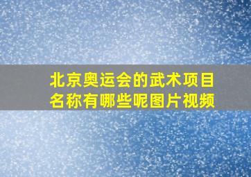 北京奥运会的武术项目名称有哪些呢图片视频