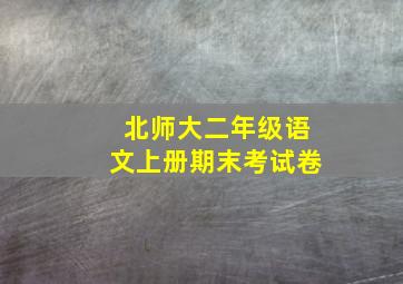 北师大二年级语文上册期末考试卷