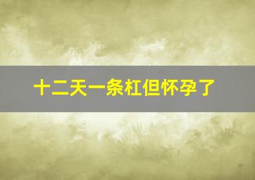 十二天一条杠但怀孕了