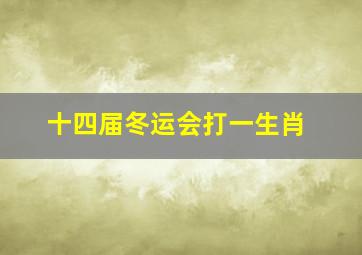 十四届冬运会打一生肖