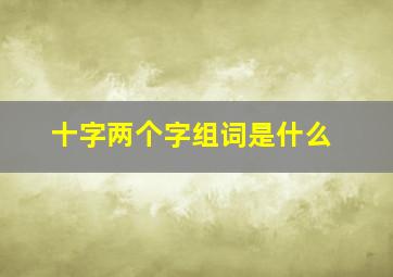 十字两个字组词是什么