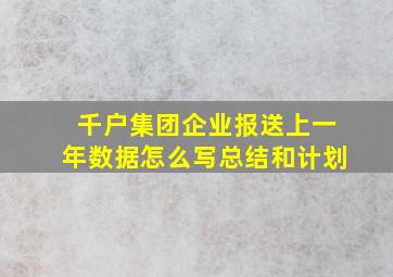 千户集团企业报送上一年数据怎么写总结和计划