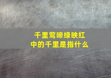 千里莺啼绿映红中的千里是指什么