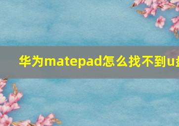 华为matepad怎么找不到u盘